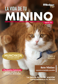 Minino 56