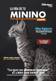 Minino 59