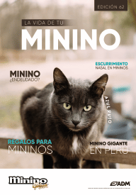 Minino 62