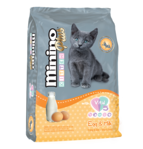 Minino Plus Kitten