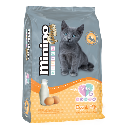 Minino Plus Kitten